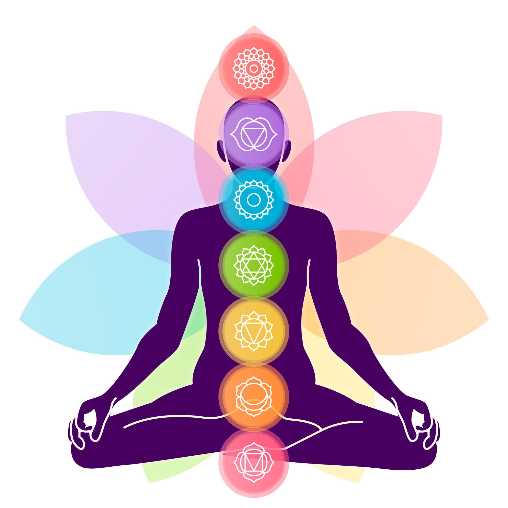 Illustration de l’article : Stress, fatigue, digestion : comment la naturopathie peut vous aider à réguler naturellement les déséquilibres du quotidien