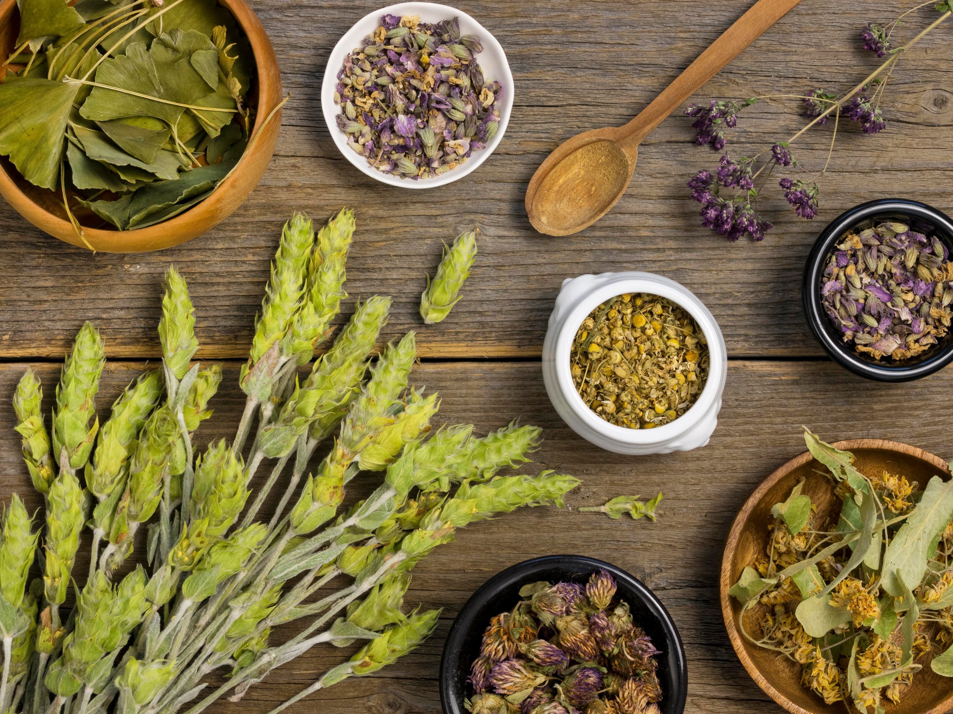 Illustration de l’article : Qu’est-ce que la naturopathie ?